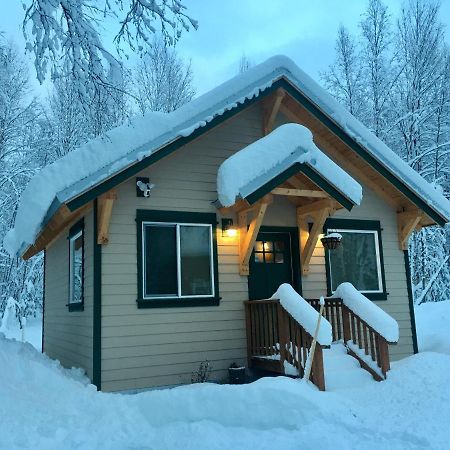 Talkeetna Mount Dall Cottage With Wifi&Laundry Exterior photo