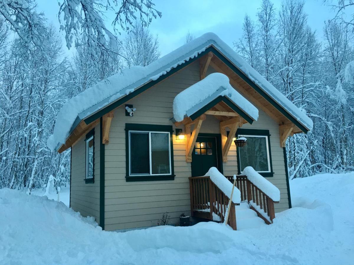 Talkeetna Mount Dall Cottage With Wifi&Laundry Exterior photo